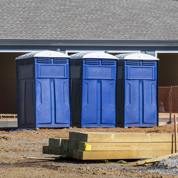 are there different sizes of portable restrooms available for rent in Swan Lake